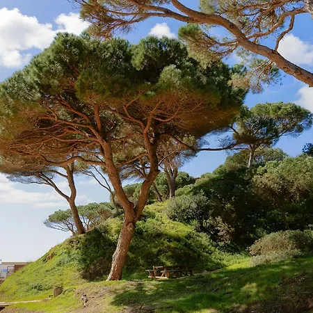 Belharucas, 400 Meters From *