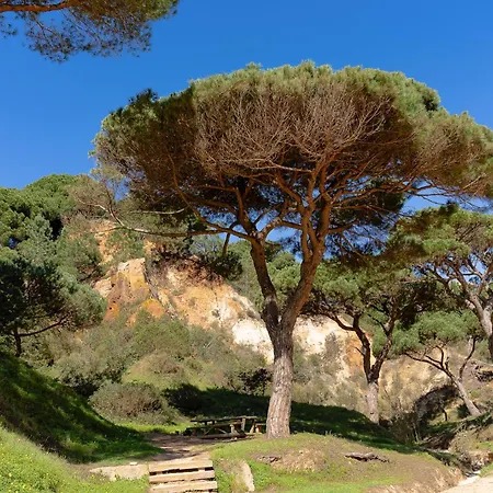 Belharucas, 400 Meters From Apartman Albufeira