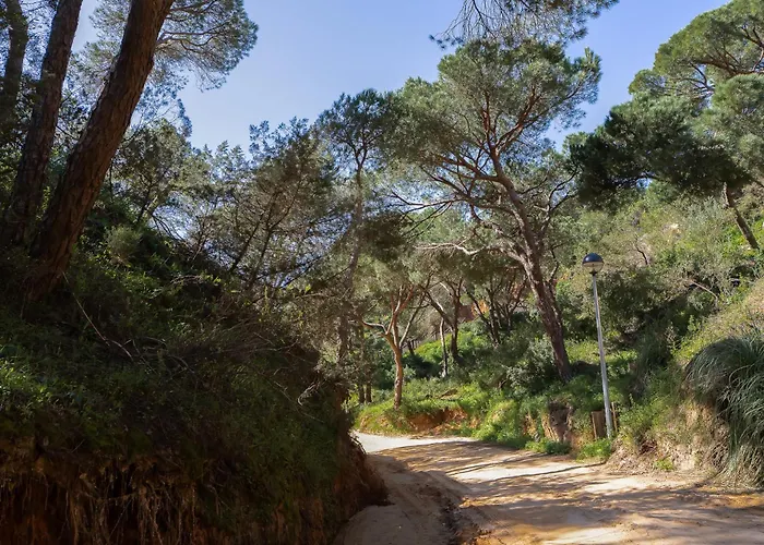 Belharucas, 400 Meters From 아파트 알부페이라