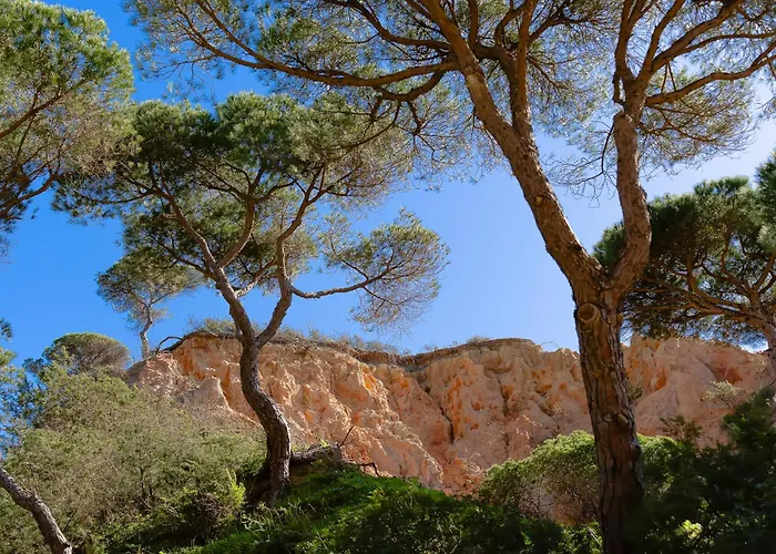 Belharucas, 400 Meters From 아파트 *