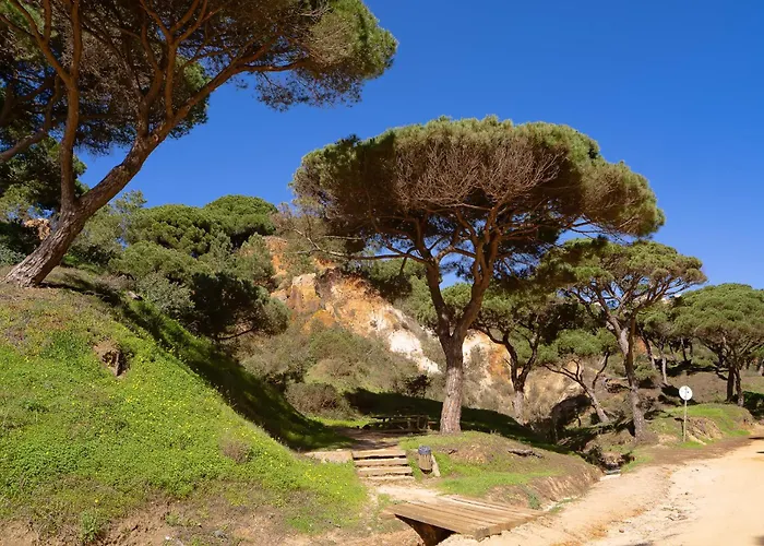 Belharucas, 400 Meters From 아파트 알부페이라